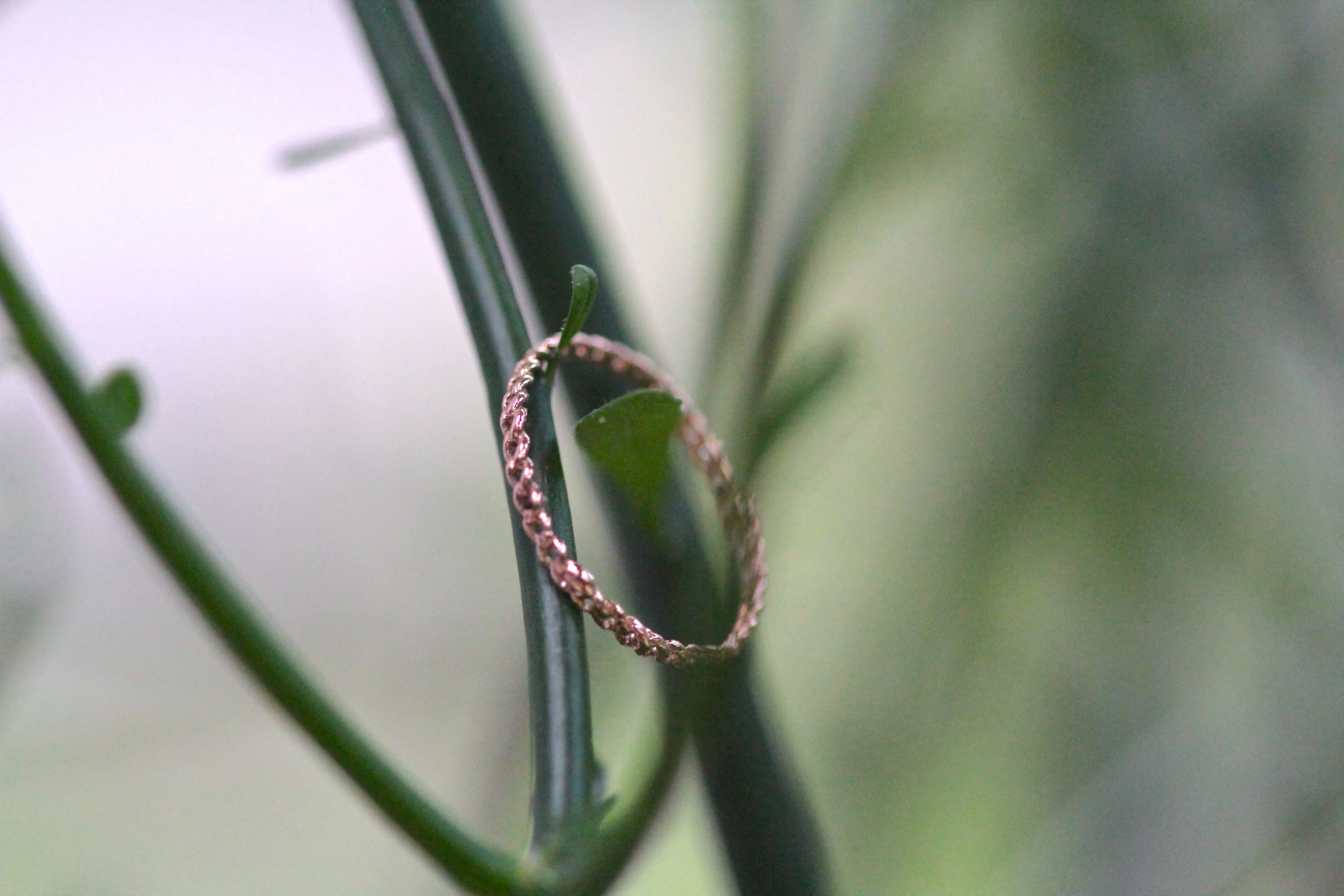 Chain Gold Ring