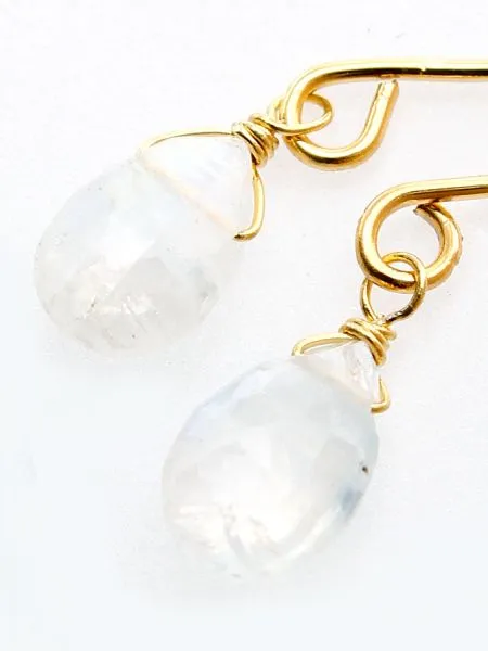 Drop Cut Gem Stone Hoop Earrings