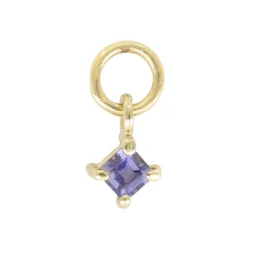 Petite Iolite Gold Charm