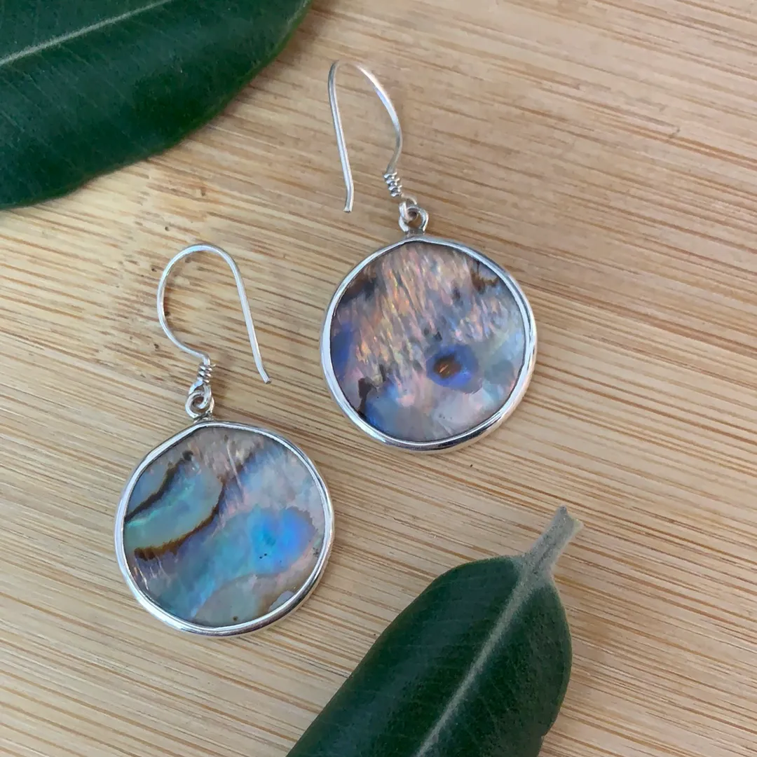 Sterling Silver Kiwi with Silver Fern Earrings