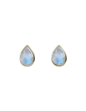 Von Treskow Cased Pear Moonstone Studs - Gold